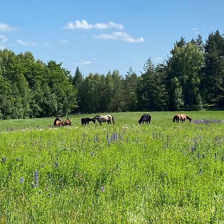 Koziula - Domki I Lesne Spa Na Kaszubach プシビツ エクステリア 写真