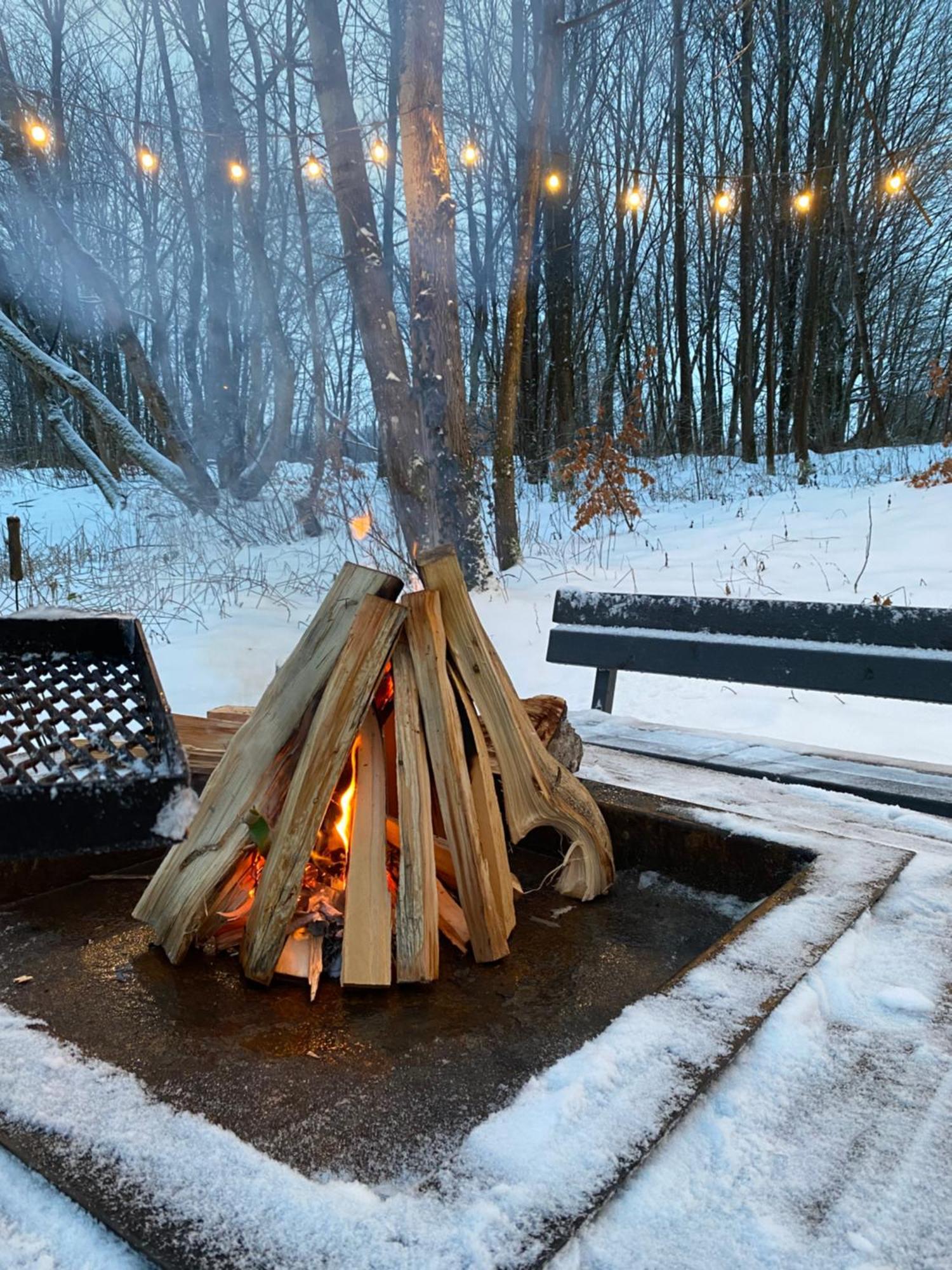 Koziula - Domki I Lesne Spa Na Kaszubach プシビツ エクステリア 写真